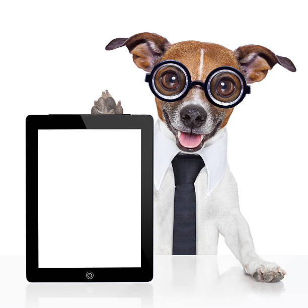 istock Genius dog in a tie and glasses holding an tablet computer 471794605