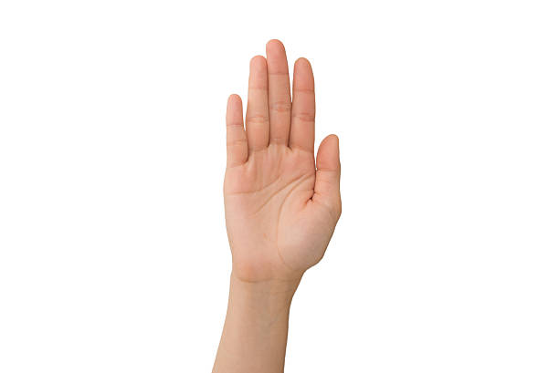 Young Lady's Right Hand Palm Young lady's right hand palm who's 20 years old raise right hand stock pictures, royalty-free photos & images
