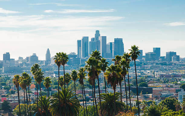 istock Los Angeles skyline aerial (backlit) w/ palm trees 471795113