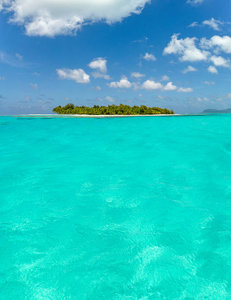 istock Tropical island and turquoise water 471795342