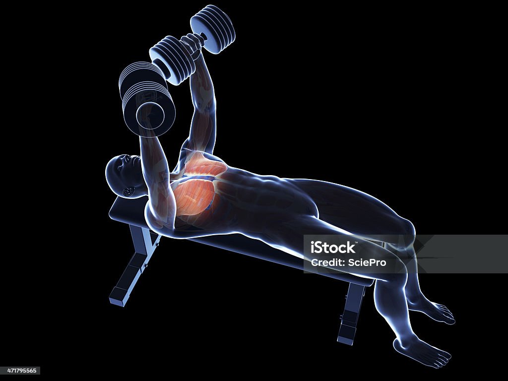 bench press - Royalty-free Adulto Foto de stock