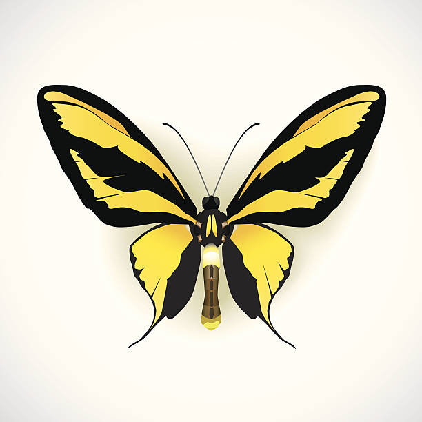Papillon abstrait - Illustration vectorielle