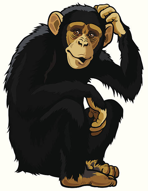 ilustraciones, imágenes clip art, dibujos animados e iconos de stock de chimpancé - chimpancé