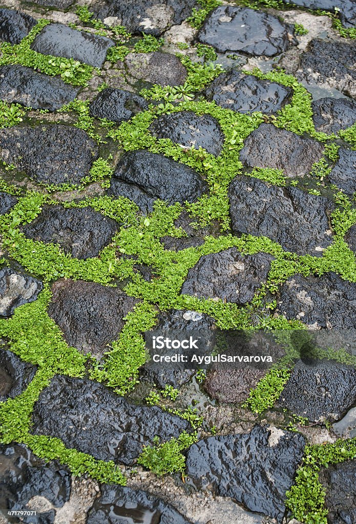 cobblestone pavement with green grass in between cobblestone pavement with green grass in between the stones Alley Stock Photo