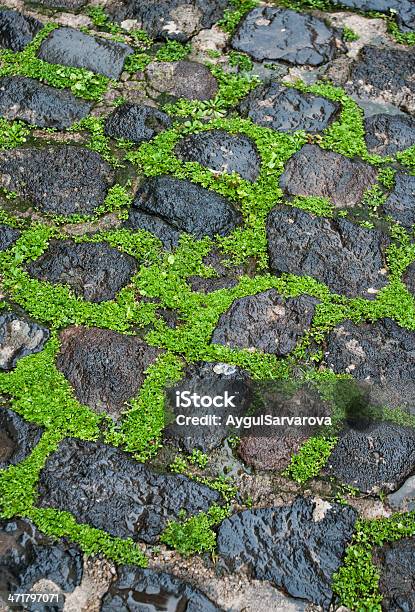Cobblestone Pavement With Green Grass In Between Stock Photo - Download Image Now - Alley, Architecture, Asphalt