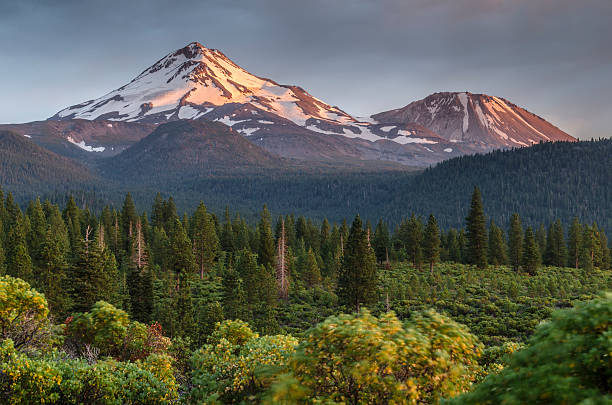 Mount Shasta summer Late summer on the north side of Mount Shasta, Southern Cascades, California. mt shasta photos stock pictures, royalty-free photos & images