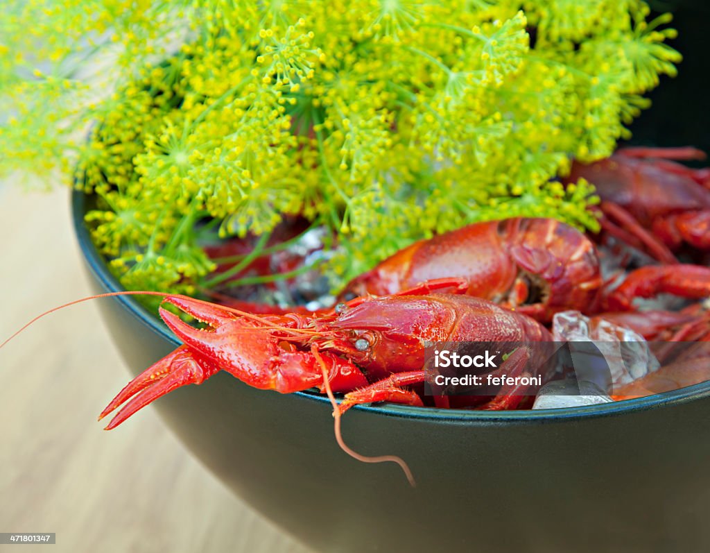 Flußkrebs und dill - Lizenzfrei Dill Stock-Foto