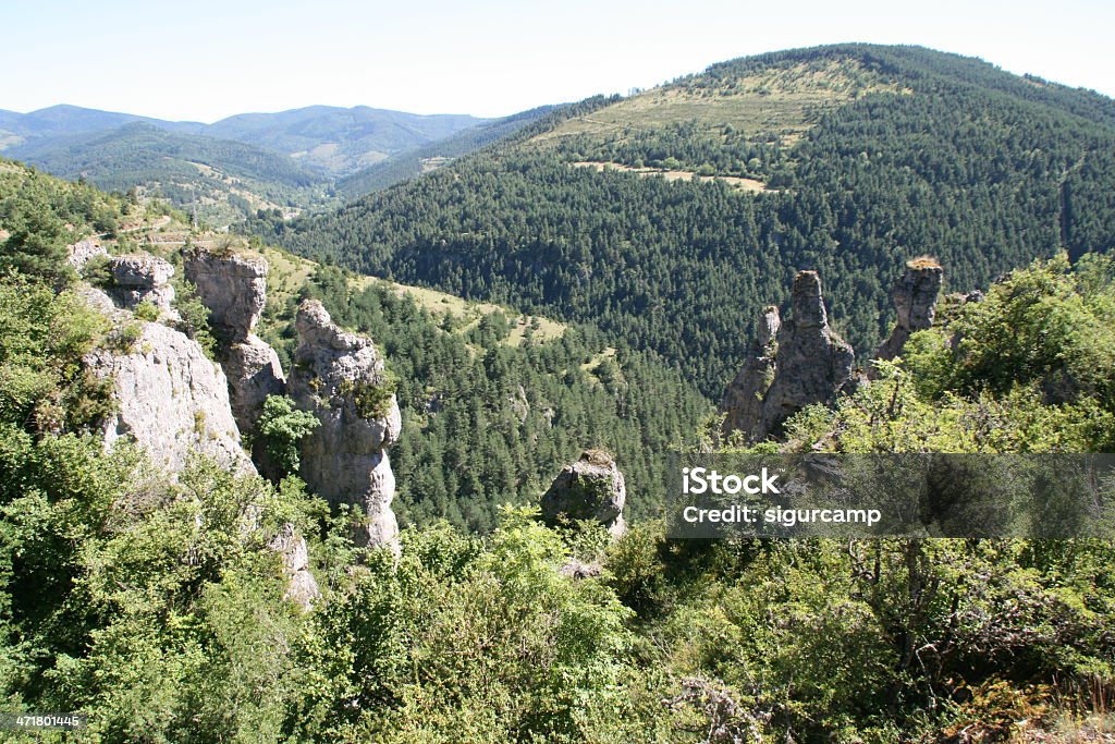 Gorges du Tarn, France Shot from the road standing over the tarn river, Lozere, France Europe Stock Photo