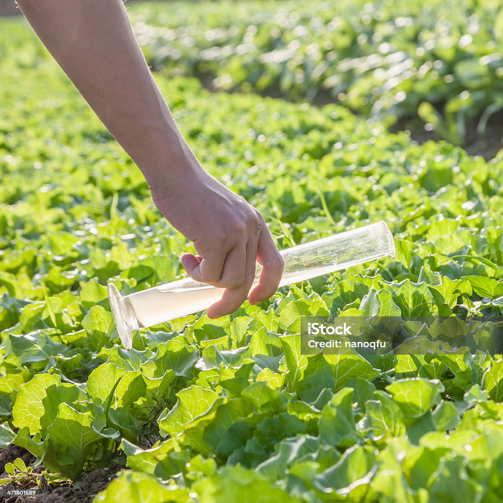 Arroser avec Verrerie de laboratoire - Photo de Agriculture libre de droits