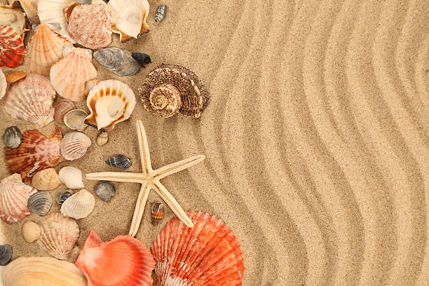 istock Background of sand, shells and sea start 471802803