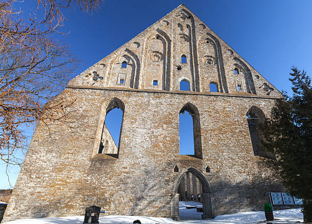 ruinen von st. brigitta konvent in pirita region, tallinn, estland - estonia tallinn old ruin ruined stock-fotos und bilder