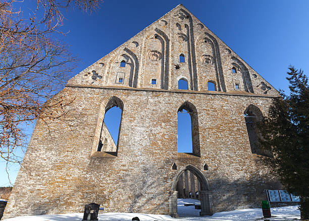 rovine del convento di san brigitte in pirita regione, tallinn, estonia - estonia tallinn old ruin ruined foto e immagini stock