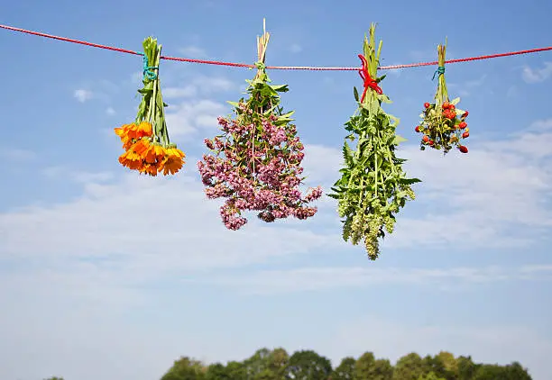 four medical herb flowers bunch on string and sky background