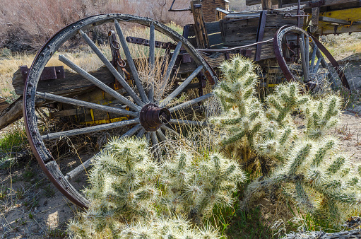 Old wagon, wheels and cholla cactus. High desert of Eastern California.