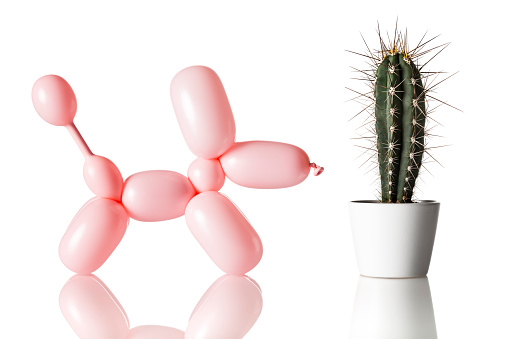 Balloon dog and cactus isolated on white.