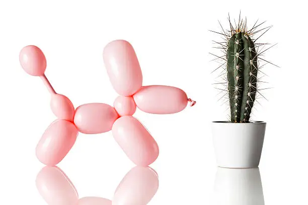 Photo of Dog and Cactus - Humor Bizarre Excitement Balloon