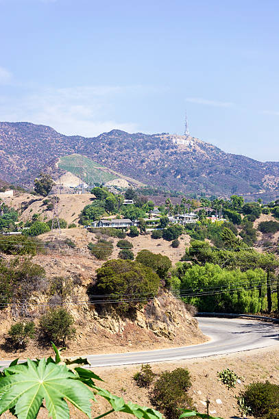 istock Hollywood Sign taken from Beverly Hills 471804145