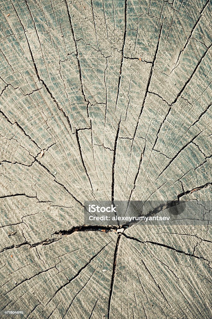 Agrietado madera - Foto de stock de Abandonado libre de derechos