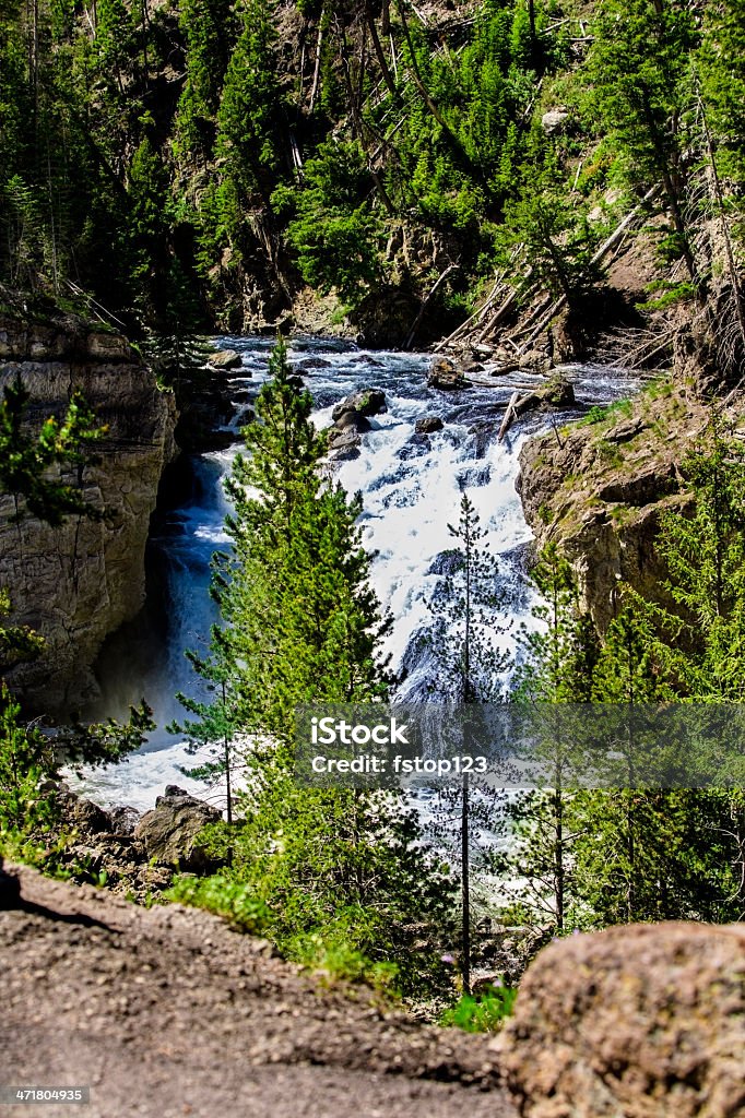 Naturaleza: Parque Nacional Yellowstone. Firehole Falls. Wyoming. - Foto de stock de Acantilado libre de derechos