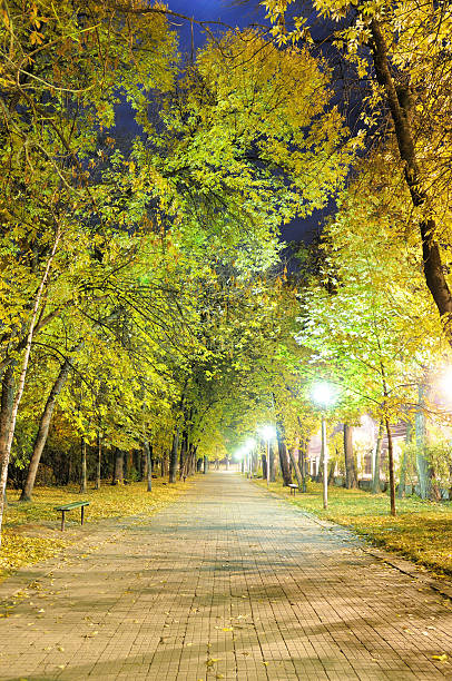 istock Night city park 471804999