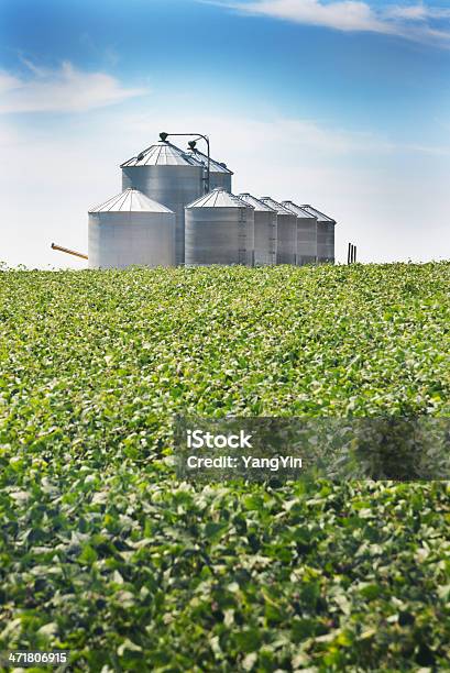 Foto de Recipientes Com Grãos De Soja Corte Crescente Campo De Fazenda Agrícola e mais fotos de stock de Campo