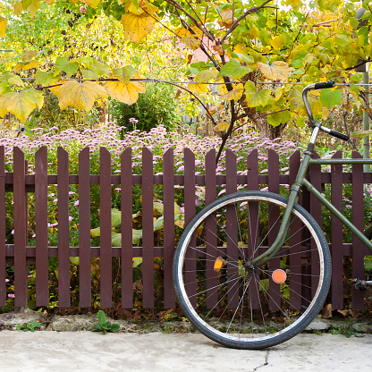 bicycle in front of a wooden fence and grapes