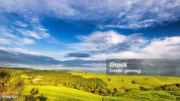 Magnifica Toscana - Fotografie stock e altre immagini di Collina - Collina, Val d'Orcia, Valle del Chianti