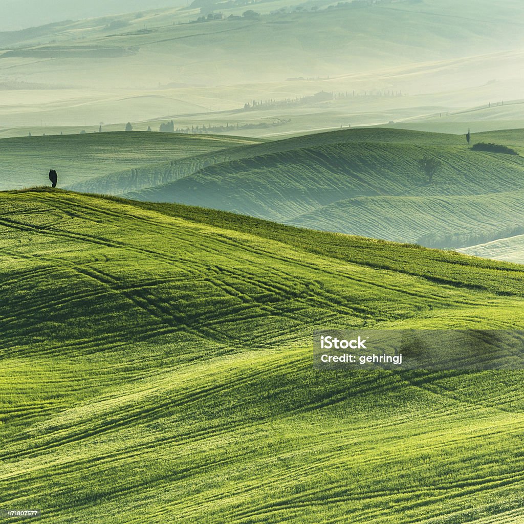 Типичные пейзаж из �Тоскани - Стоковые фото Возвышенность роялти-фри