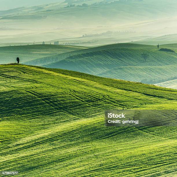 Типичные Пейзаж Из Тоскани — стоковые фотографии и другие картинки Возвышенность - Возвышенность, Далеко, Без людей