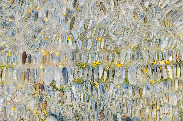 istock Stones road covered with yellow leaves 471808116