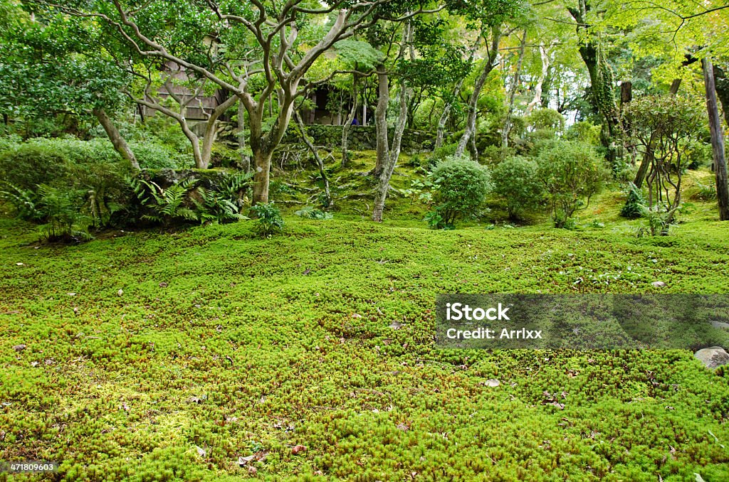 Moss em um jardim japonês - Foto de stock de Cena Rural royalty-free