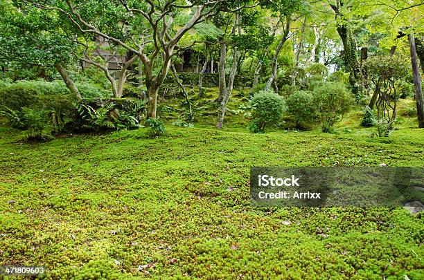 Foto de Moss Em Um Jardim Japonês e mais fotos de stock de Cena Rural - Cena Rural, Exterior, Floresta