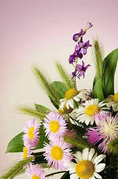 istock Bouquet of wildflowers 471810033