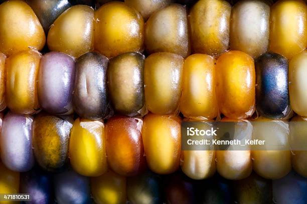 Colorato Kernel Mais - Fotografie stock e altre immagini di Agricoltura - Agricoltura, Arredamento, Autunno