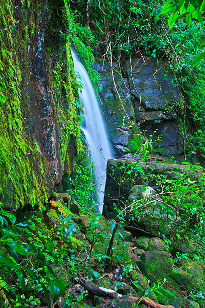 Beautiful Sai Thip Waterfall  Phu Soi Dao National Park, Uttaradit,Province Thailand