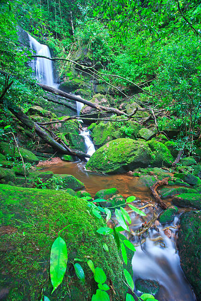 Beautiful Sai Thip Waterfall  Phu Soi Dao National Park, Uttaradit,Province Thailand