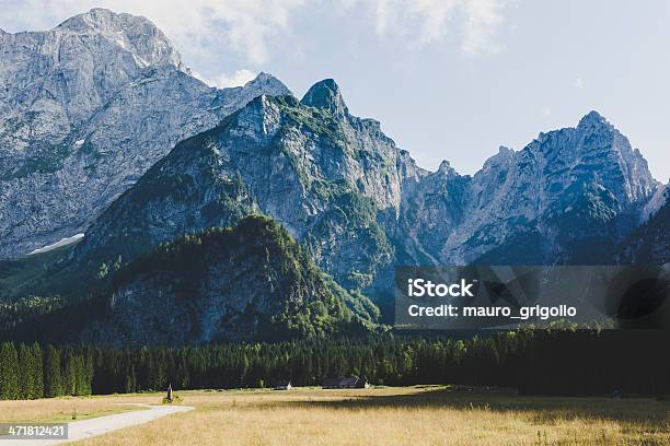 Photo libre de droit de Magnifique Vue Sur Les Montagnes banque d'images et plus d'images libres de droit de Alpes européennes - Alpes européennes, Arbre, Au-dessus de