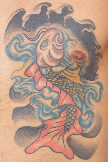 carp, koi fish tattoo on chest, belly of a man close up shot of carp, koi fish tattoo on chest - belly of a man chest tattoo pain stock pictures, royalty-free photos & images