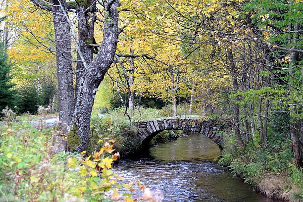 istock Autumn Sumava Mountains with Bridge over River 471814185