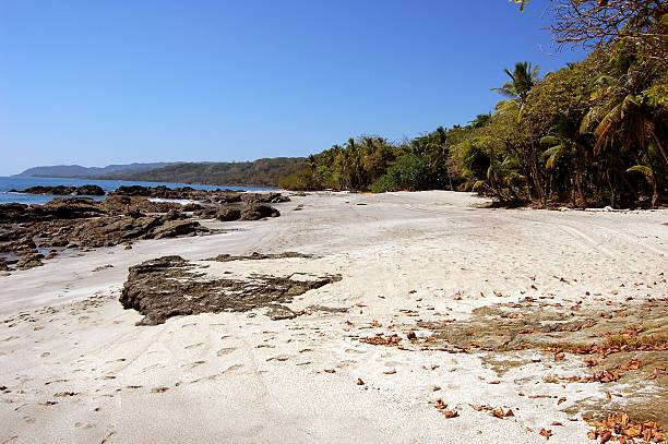 istock Montezuma beach, Costa Rica 471815695