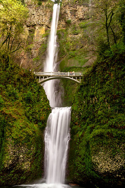 istock Scenic Multnomah Falls in Oregon 471816880