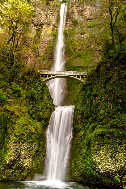 istock Scenic Multnomah Falls in Oregon 471816884