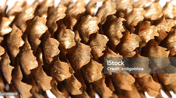 Photo libre de droit de Fond De Golden Grande Pomme De Pin banque d'images et plus d'images libres de droit de Arbre à feuilles persistantes - Arbre à feuilles persistantes, Branche - Partie d'une plante, Conifère