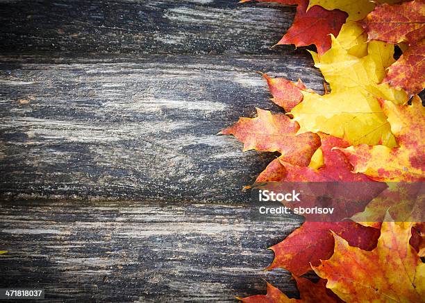 Autumn Leaves On Timber Background Stock Photo - Download Image Now - Autumn, Backgrounds, Beauty In Nature