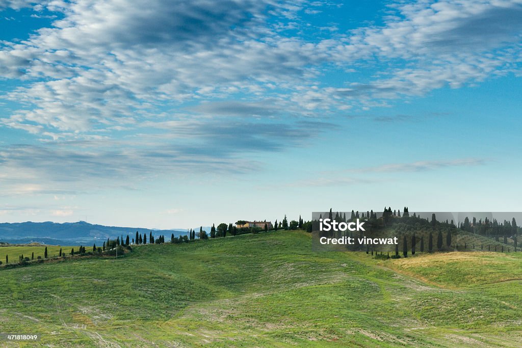 Les collines du Creta senesi - Foto de stock de Campo royalty-free