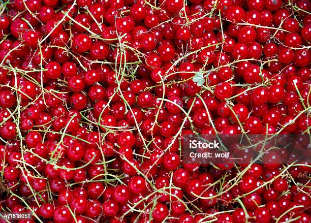 Vários Molhos De Vermelho Groselhas Como Uma Textura - Fotografias de stock e mais imagens de Antioxidante