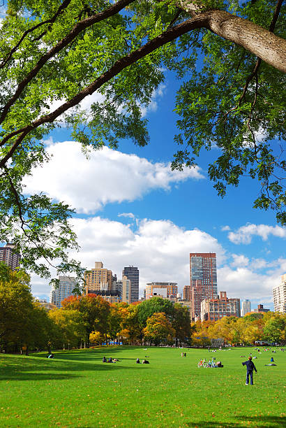 istock New York City Central Park 471818433