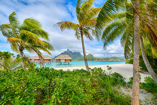 istock Daytime view of white sand beach in Polynesia 471818480