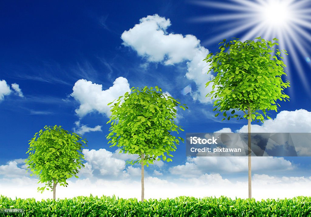 tre alberi - Foto stock royalty-free di Abbracciare gli alberi