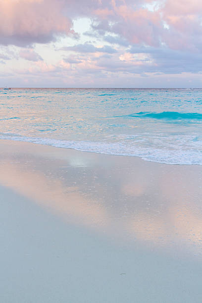 istock Beach of the Caribbean Sea 471819015